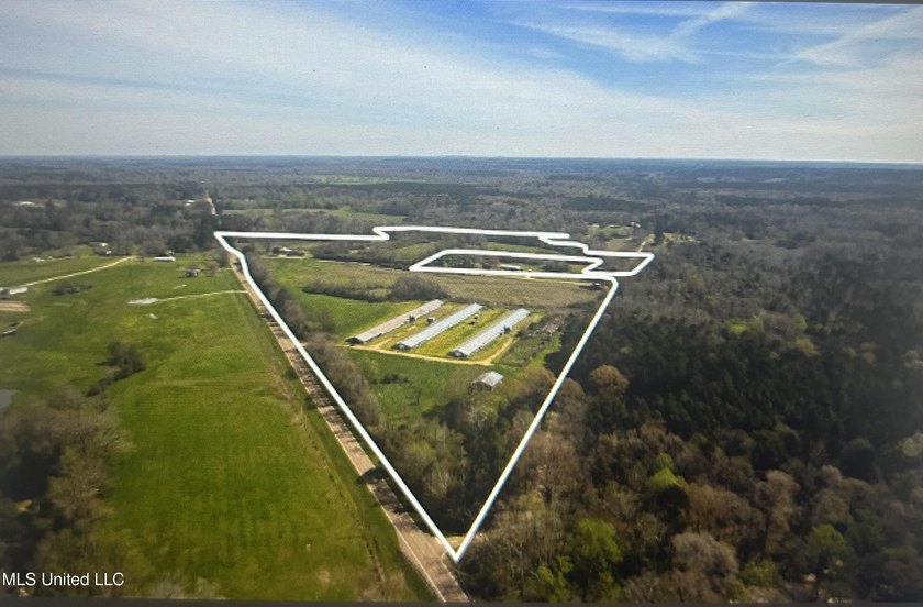 Endless possibilities with this 16.3+/-acre tract! Whether - photo 2
