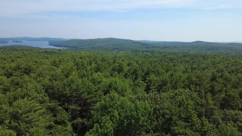 Escape to the peace and beauty of Otisfield with this 15.4-acre - photo 14