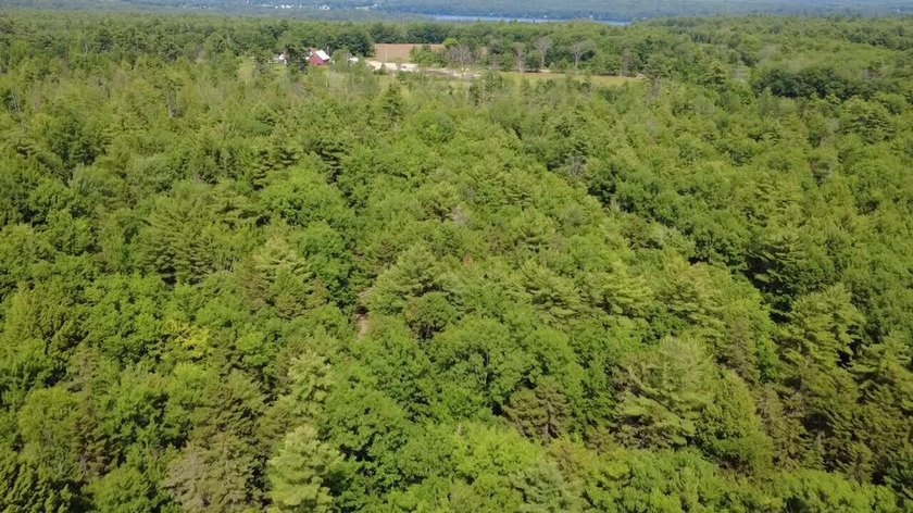 Escape to the peace and beauty of Otisfield with this 15.4-acre - photo 17