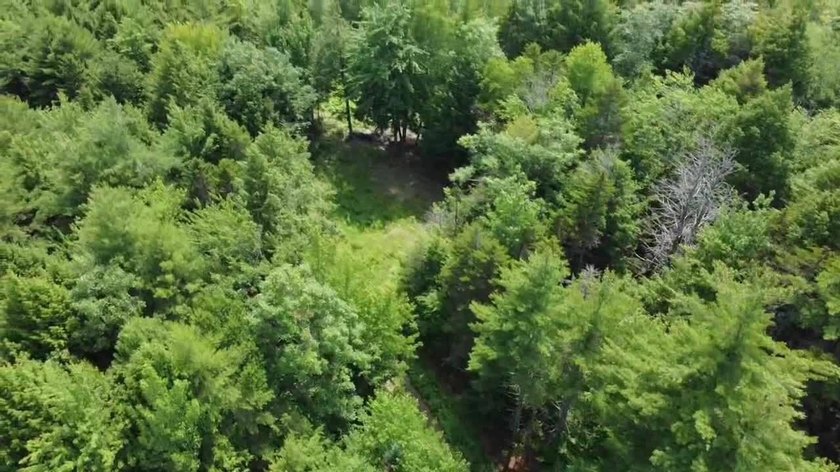 Escape to the peace and beauty of Otisfield with this 15.4-acre - photo 20
