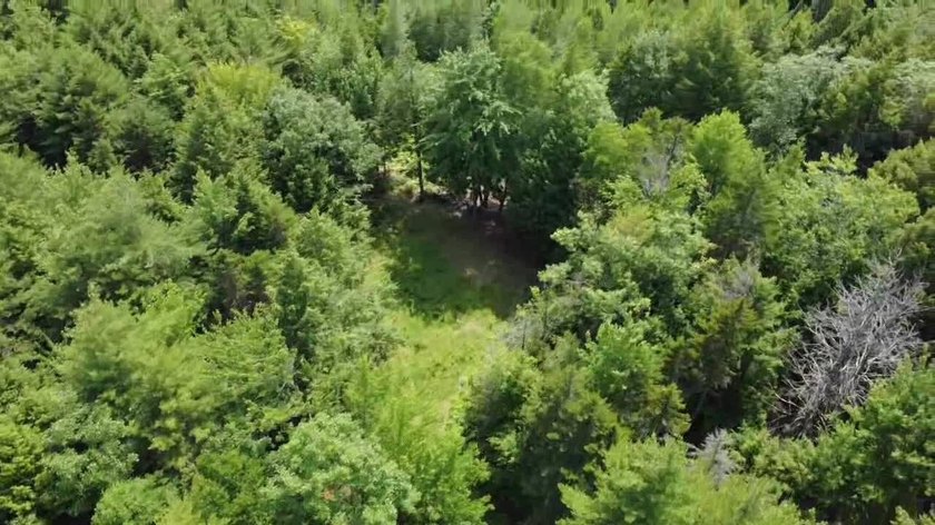 Escape to the peace and beauty of Otisfield with this 15.4-acre - photo 23