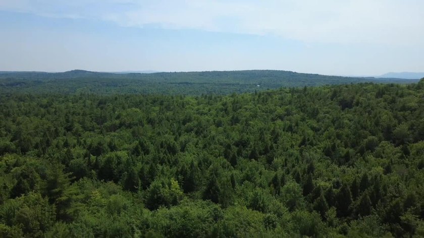 Escape to the peace and beauty of Otisfield with this 15.4-acre - photo 24