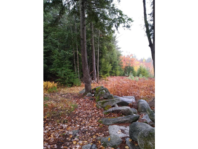 Escape to the peace and beauty of Otisfield with this 15.4-acre - photo 29