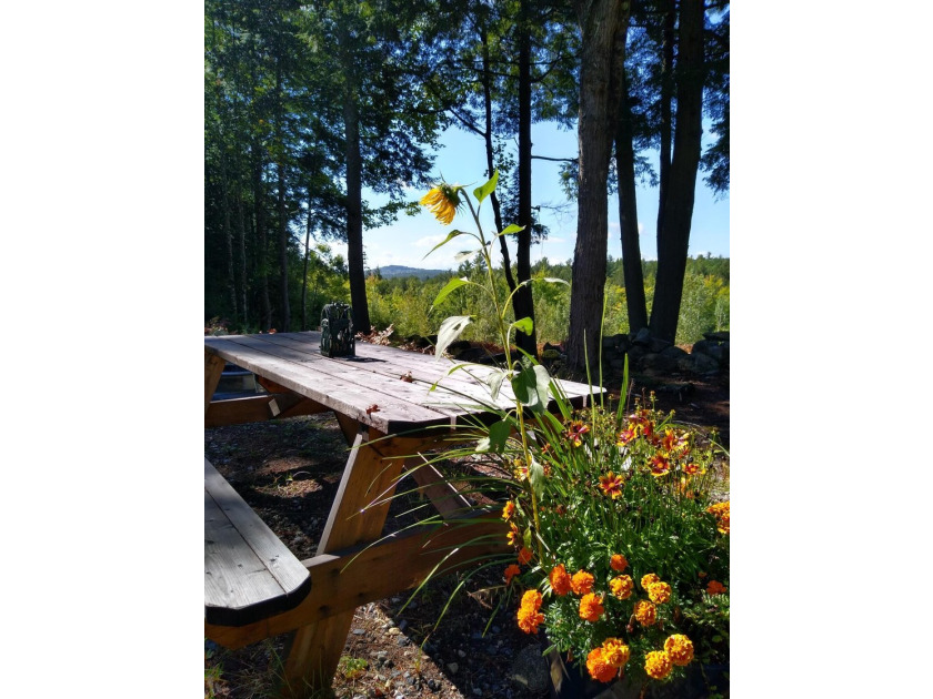 Escape to the peace and beauty of Otisfield with this 15.4-acre - photo 30