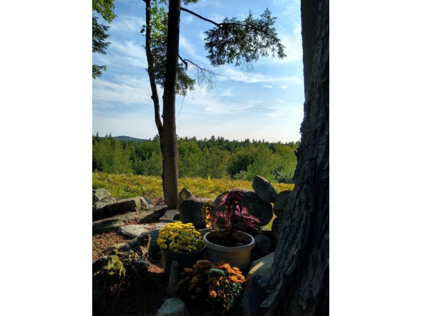 Escape to the peace and beauty of Otisfield with this 15.4-acre - photo 32