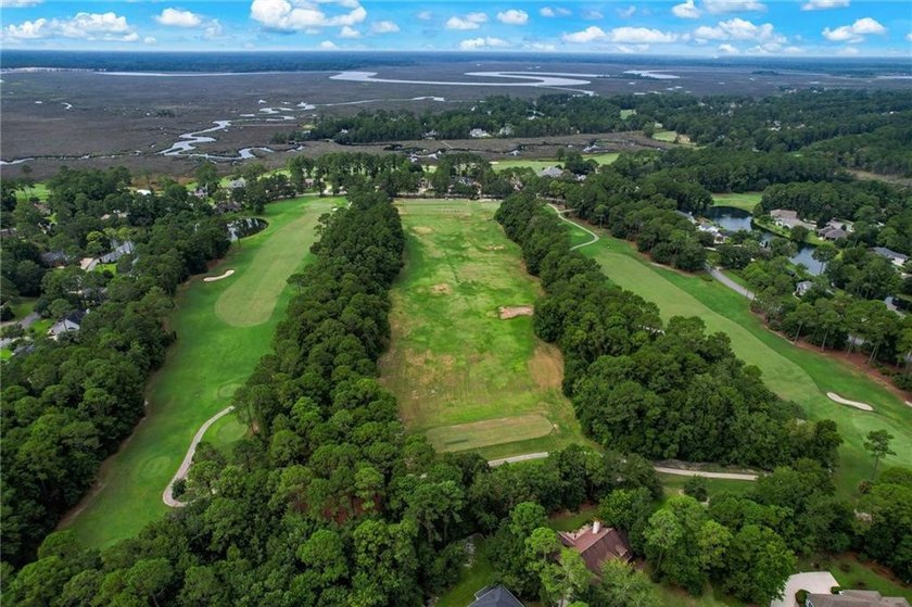 Your Dream Home in Osprey Cove !This 4 bedroom/ 4 bath is - photo 48