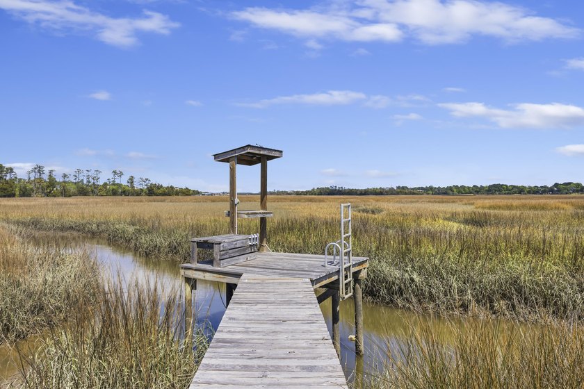 Luxury meets convenience in the sought-after marsh front - photo 29