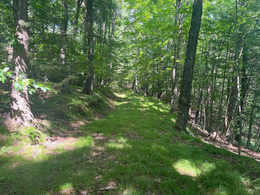 Wooded waterfront lot with 170' of frontage on Little Archibald - photo 4