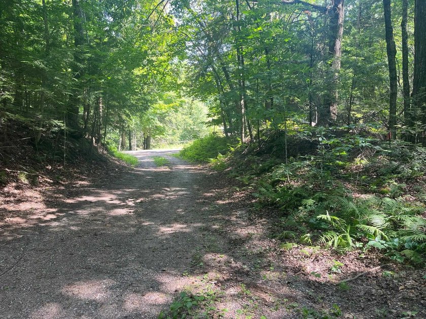 Wooded waterfront lot with 170' of frontage on Little Archibald - photo 5