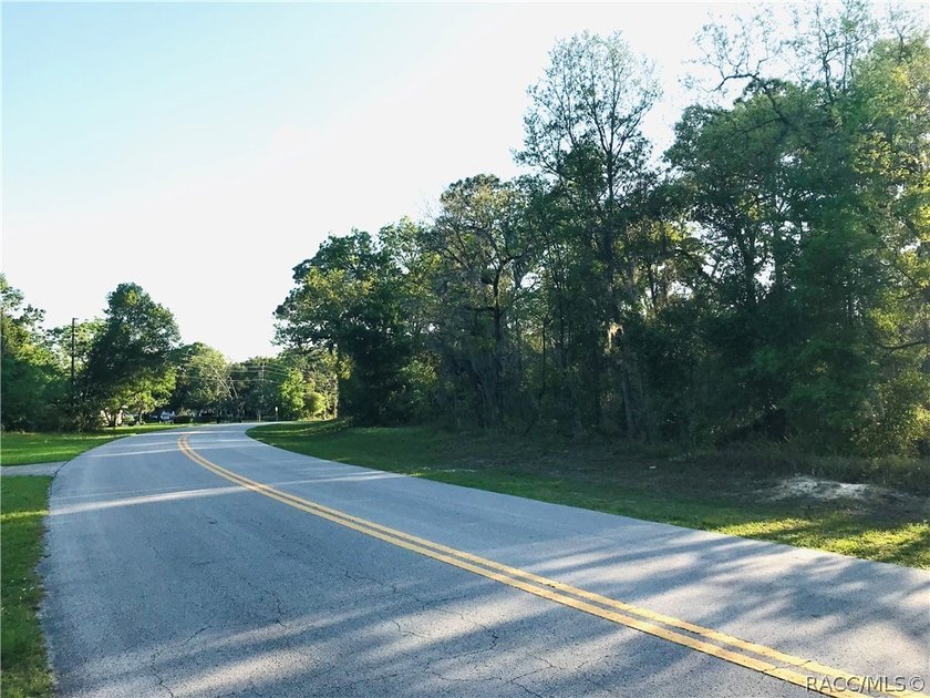 21.35 acre assemblage of three parcels at Cypress Village Center - photo 2