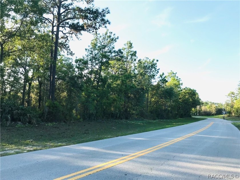 21.35 acre assemblage of three parcels at Cypress Village Center - photo 7
