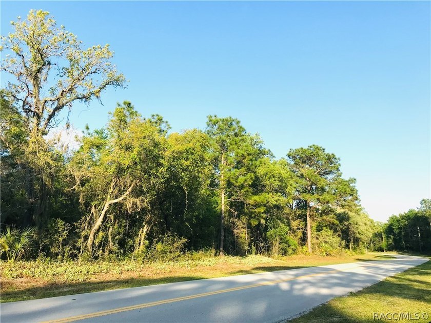 21.35 acre assemblage of three parcels at Cypress Village Center - photo 9