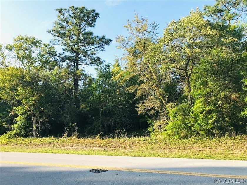 21.35 acre assemblage of three parcels at Cypress Village Center - photo 10