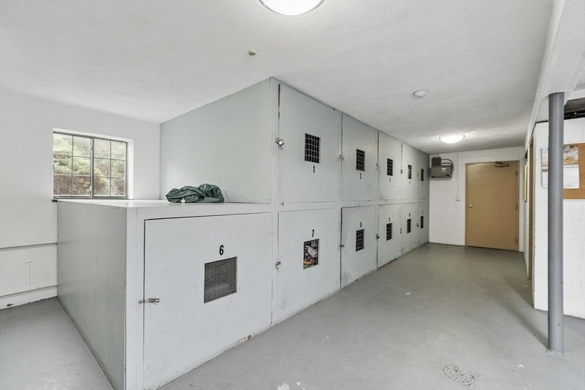 Stunning 2026 Renovation ~ Kitchen, Bath, Lighting, Windows - photo 25