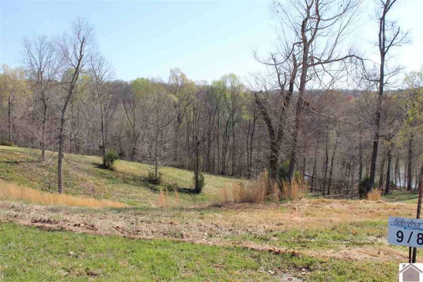 Lot 9 & 10 Oak View lane, Eddyville, KY 42038, 1451000