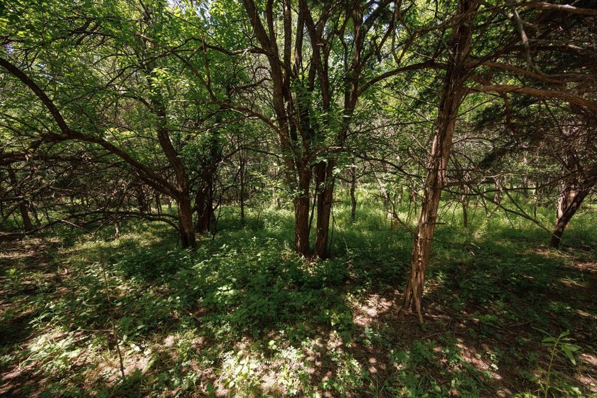 Escape to your own private piece of Kansas wilderness with this - photo 12