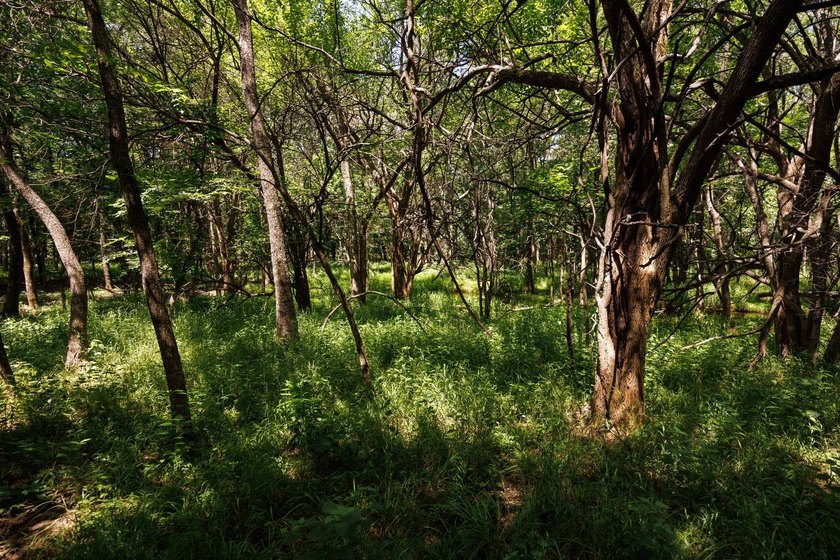 Escape to your own private piece of Kansas wilderness with this - photo 13