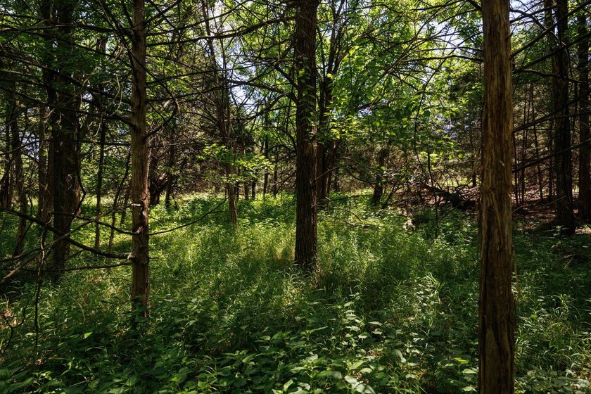 Escape to your own private piece of Kansas wilderness with this - photo 14