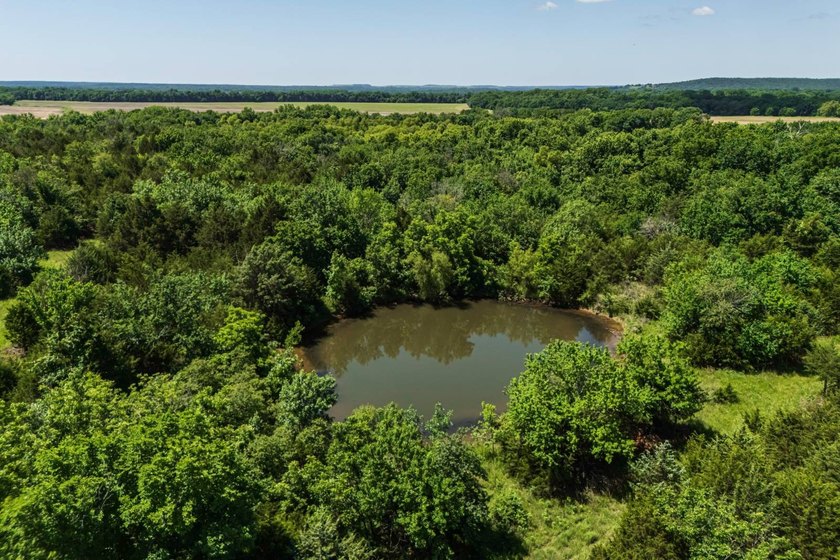 Escape to your own private piece of Kansas wilderness with this - photo 19