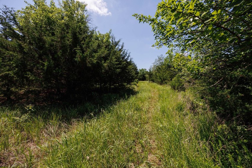 Escape to your own private piece of Kansas wilderness with this - photo 21