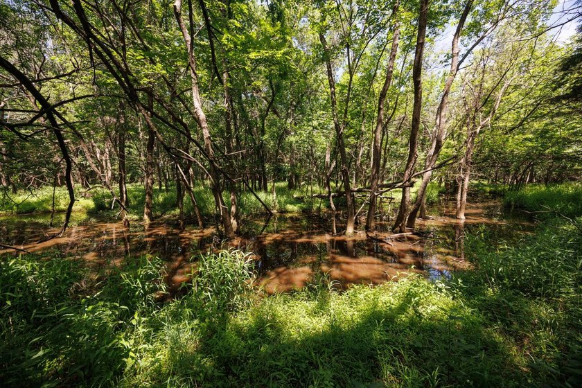 Escape to your own private piece of Kansas wilderness with this - photo 25