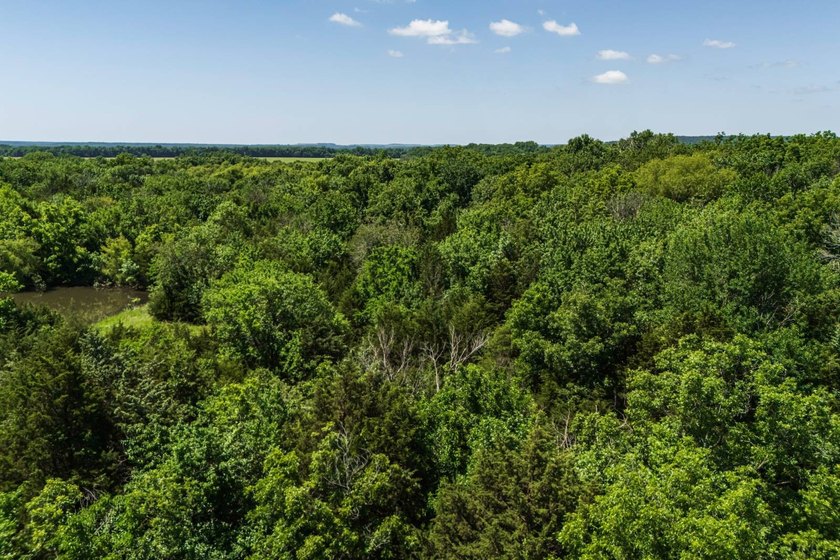 Escape to your own private piece of Kansas wilderness with this - photo 30