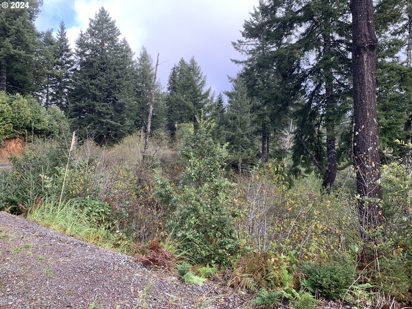Here is a blank, 11 acre canvas for your dream home with - photo 6
