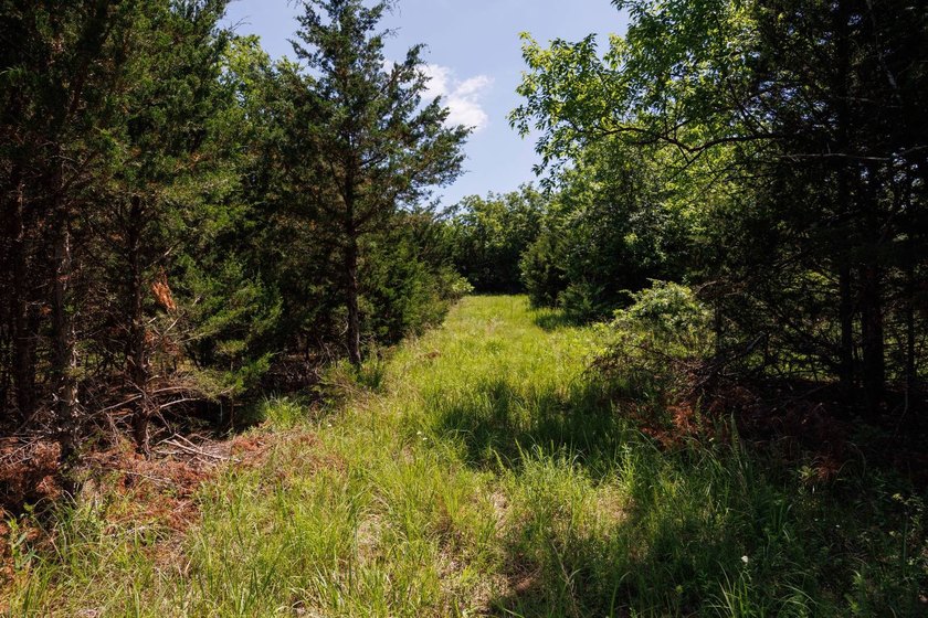 Escape to your own private piece of Kansas wilderness with this - photo 38