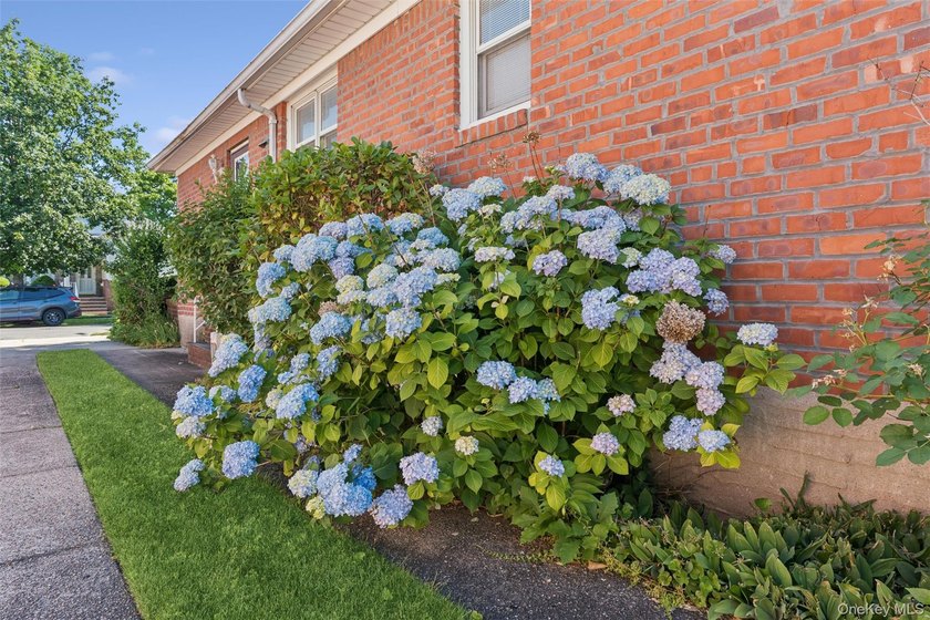 3 bedroom detached ranch with full basement sits midblock on a - photo 21