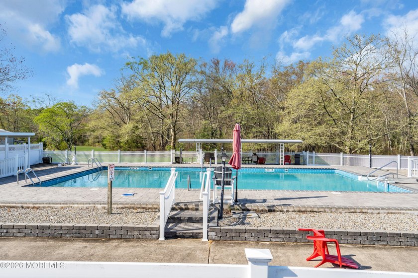 Welcome to Homestead Run! A 55+ community with a salt water pool - photo 17