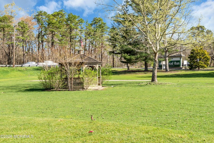 Welcome to Homestead Run! A 55+ community with a salt water pool - photo 19