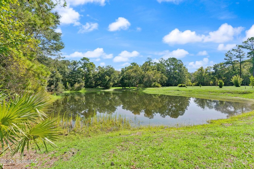 Welcome to Serenoa Cove! This beautiful four-bedroom - photo 42