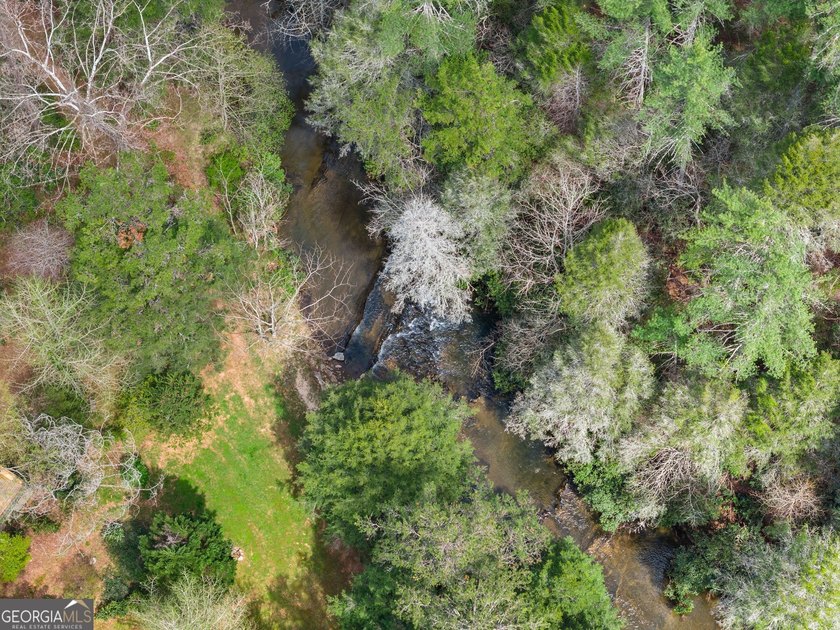 1.59 Acres | 200 Feet of Soque River Frontage | 2,000 Feet of - photo 8