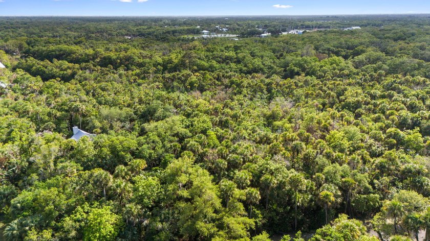 Discover the charm of Old Florida living on this beautiful - photo 7