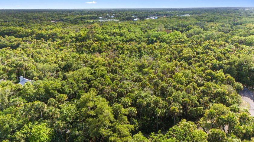 Discover the charm of Old Florida living on this beautiful - photo 8