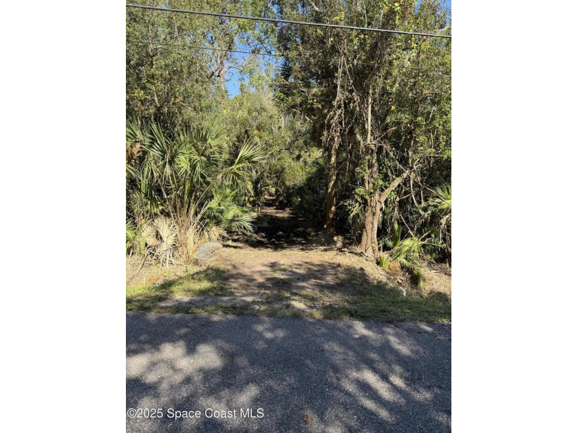 Welcome to your own private oasis! This stunning 6.45 acres of - photo 3