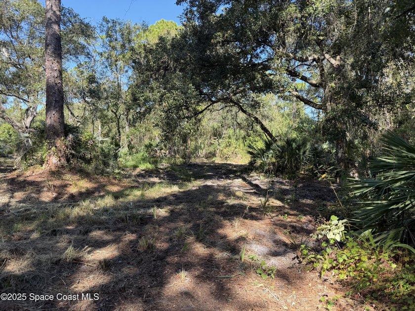 Welcome to your own private oasis! This stunning 6.45 acres of - photo 4