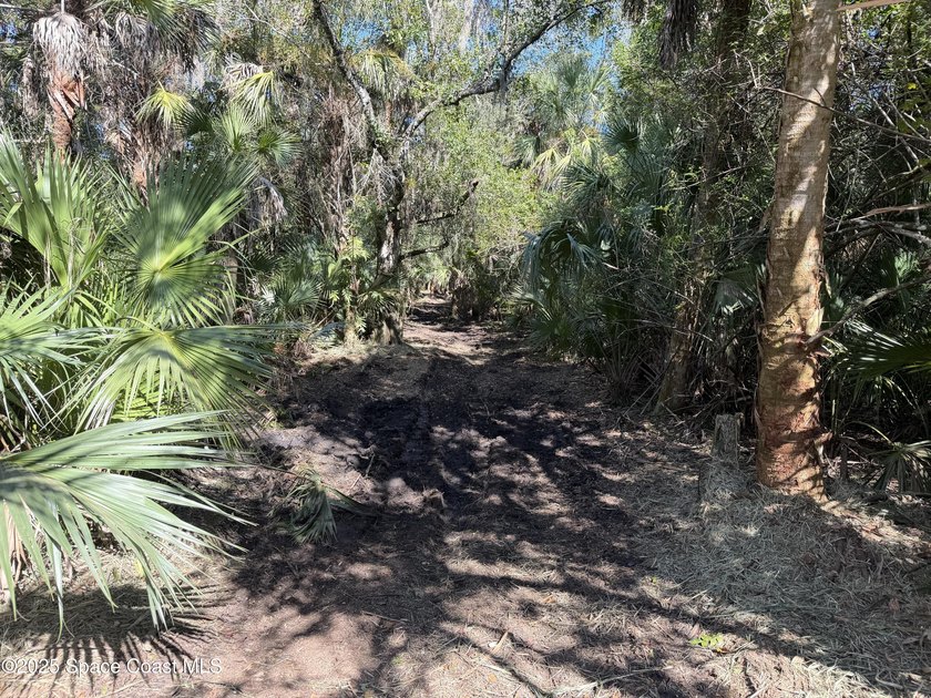 Welcome to your own private oasis! This stunning 6.45 acres of - photo 5