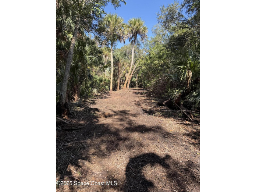 Welcome to your own private oasis! This stunning 6.45 acres of - photo 6