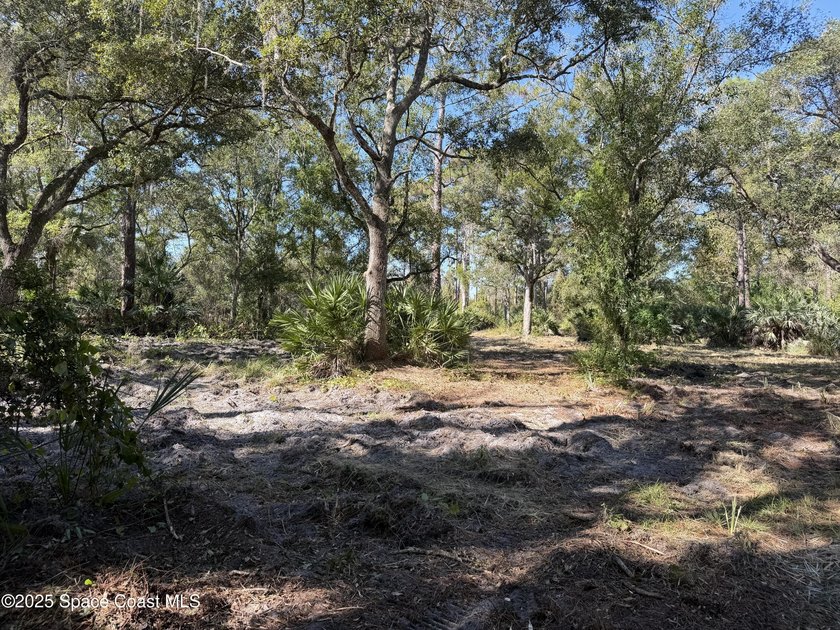 Welcome to your own private oasis! This stunning 6.45 acres of - photo 8