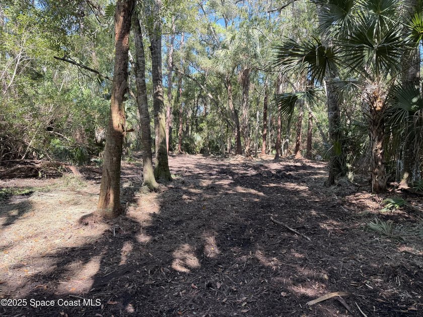 Welcome to your own private oasis! This stunning 6.45 acres of - photo 9