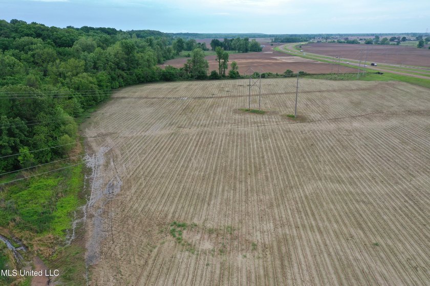 93+/- acres with long frontage on Hwy 302 (Goodman Rd) and also - photo 12