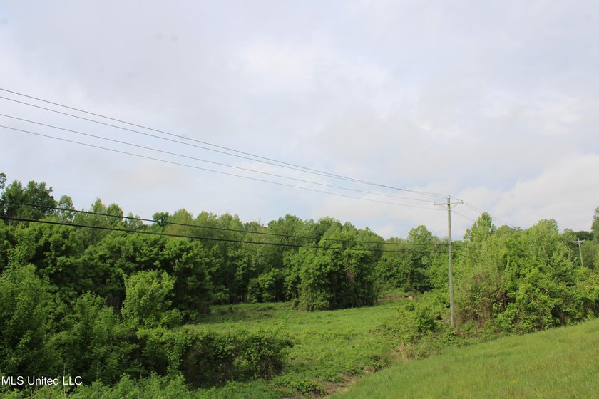 93+/- acres with long frontage on Hwy 302 (Goodman Rd) and also - photo 13