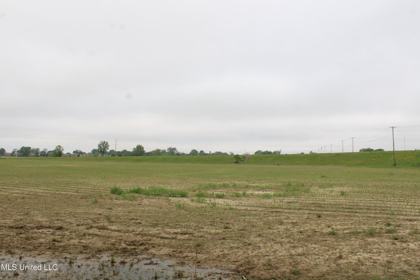 93+/- acres with long frontage on Hwy 302 (Goodman Rd) and also - photo 14