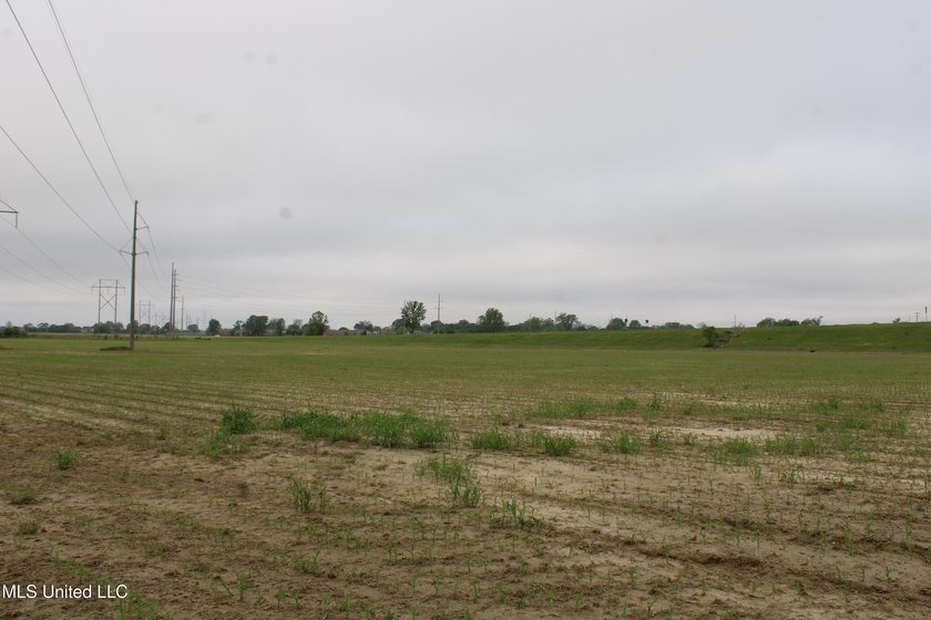 93+/- acres with long frontage on Hwy 302 (Goodman Rd) and also - photo 16