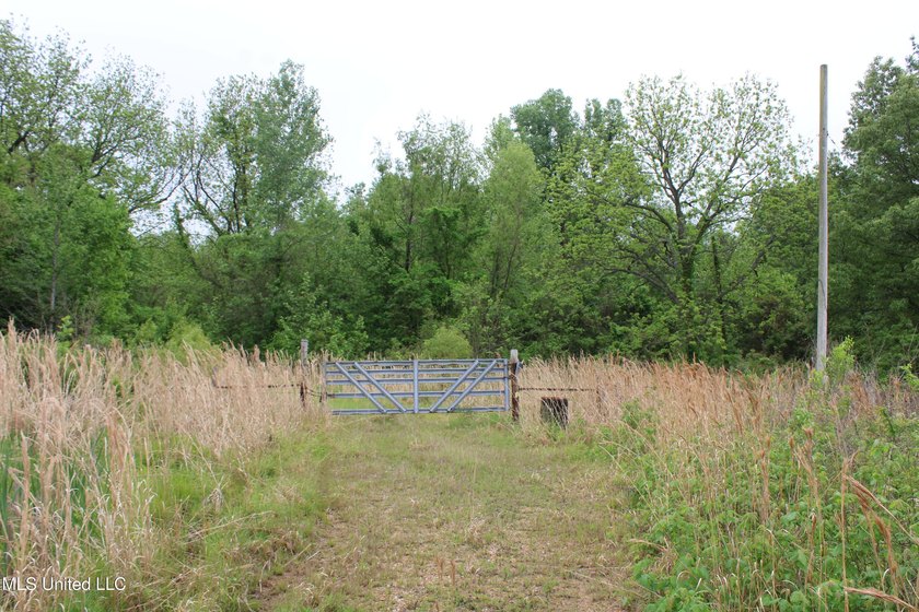 93+/- acres with long frontage on Hwy 302 (Goodman Rd) and also - photo 17