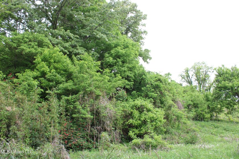 93+/- acres with long frontage on Hwy 302 (Goodman Rd) and also - photo 26