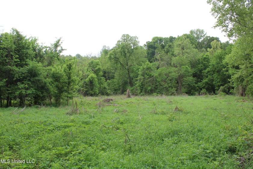 93+/- acres with long frontage on Hwy 302 (Goodman Rd) and also - photo 27