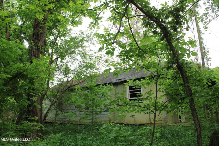 93+/- acres with long frontage on Hwy 302 (Goodman Rd) and also - photo 29