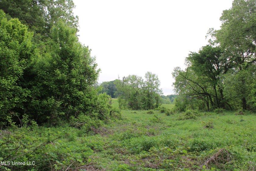 93+/- acres with long frontage on Hwy 302 (Goodman Rd) and also - photo 30